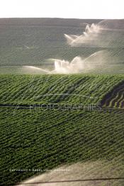 Image du Maroc Professionnelle de  Agriculture moderne système d'arrosage mobile dans le Gharb région de Larache au Nord Ouest du Maroc, Lundi 1er Juillet 2002. (Photo / Abdeljalil Bounhar)